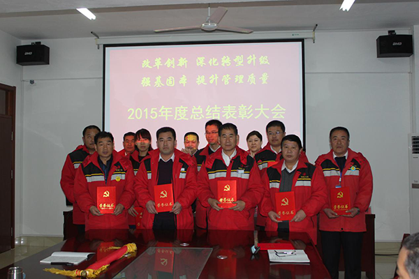 德隆公司2015年度总结表彰大会胜利召开
