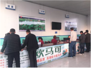 审车流程轻松学，汽车年审不求人！